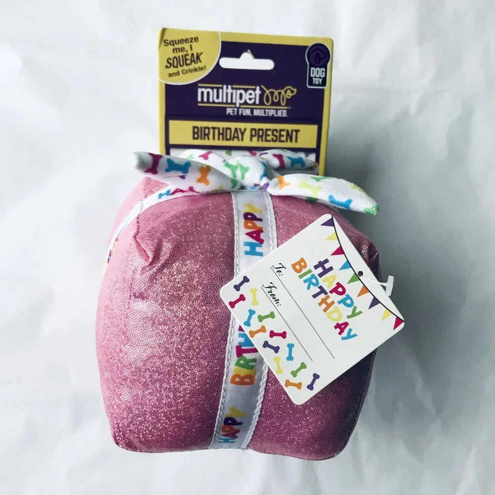 Multipet Birthday Present Dog Toy Plush Squeaker Crinkle 4